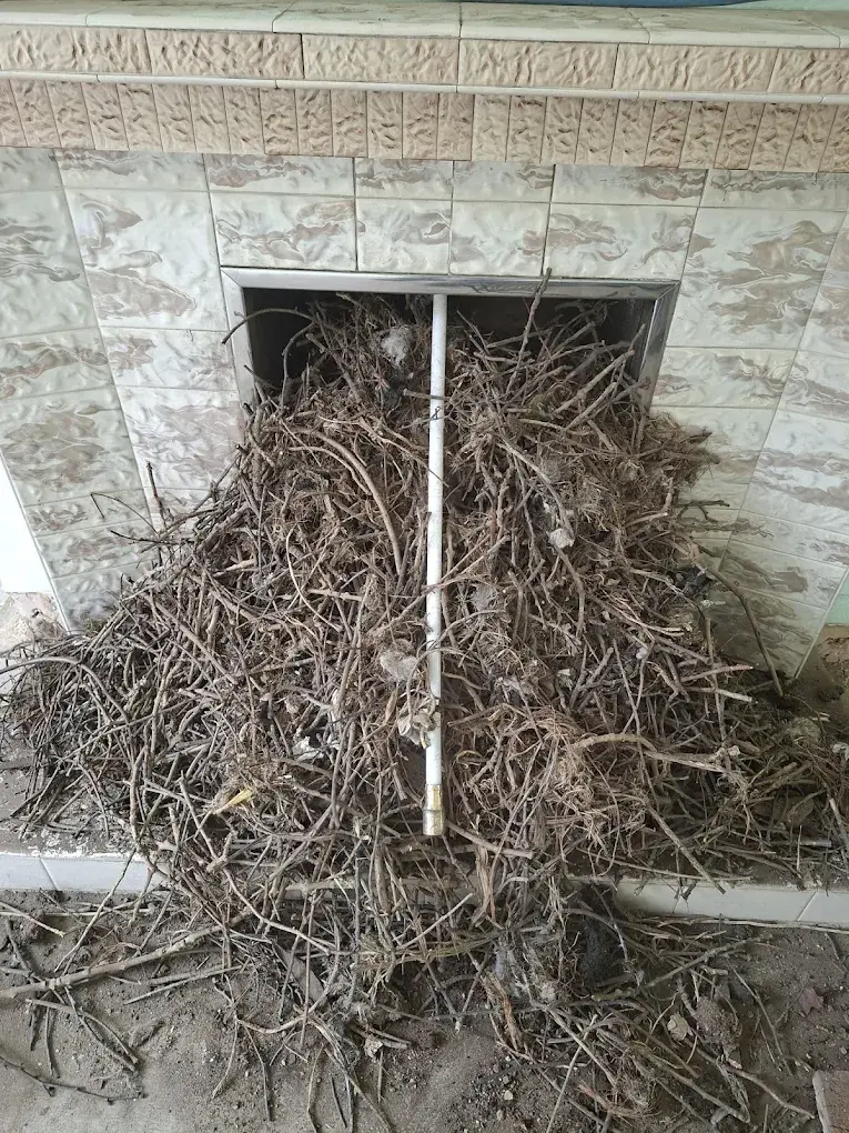 Chimney sweep work example 4